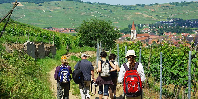 Walking in Alsace, France